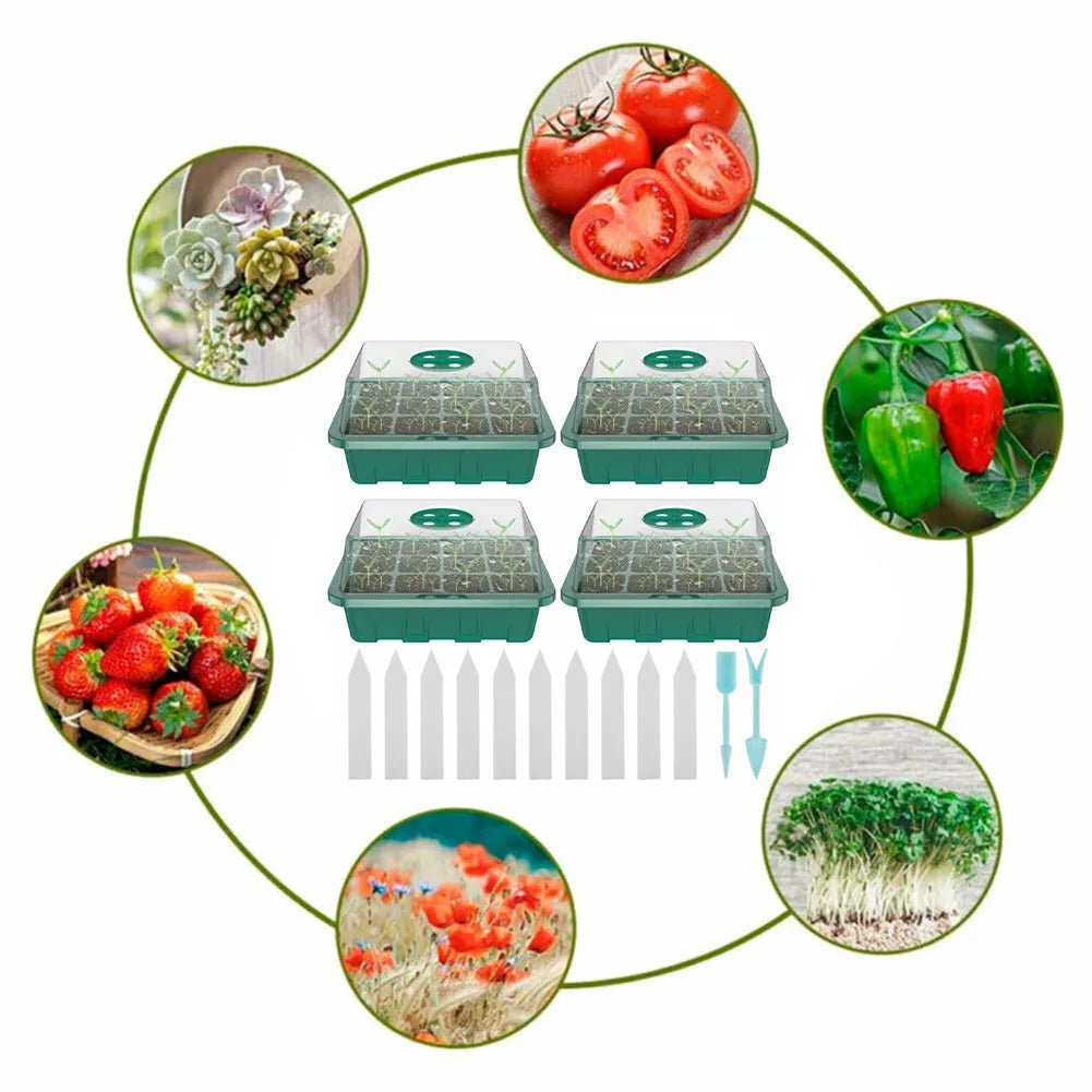 4-Pack Mini Indoor Greenhouse Propagation Trays – 12-Cell Seed Propagation Tray Babs