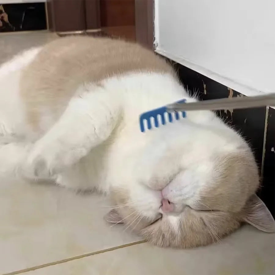 Extendable Cat Teaser Stick – Interactive Toy & Grooming Comb Cat Toy & Groomer Babs