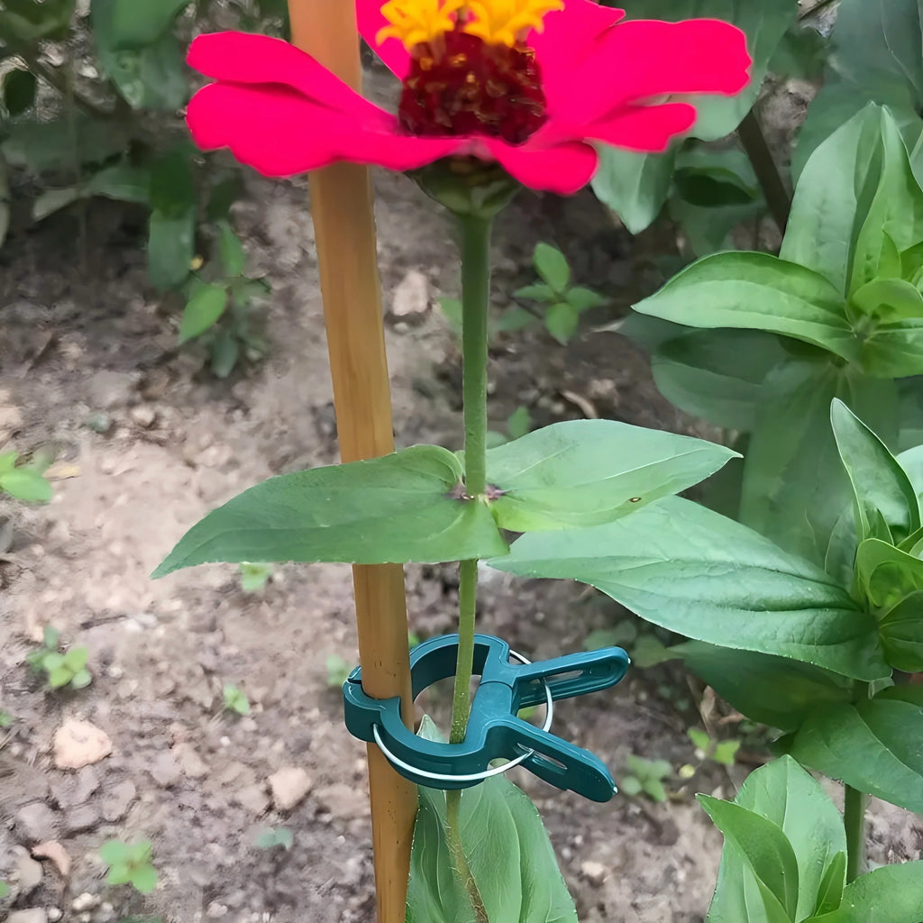 Plant Support Clips for Tomatoes & Climbing Vines | Garden Garden Plant Clips Babs