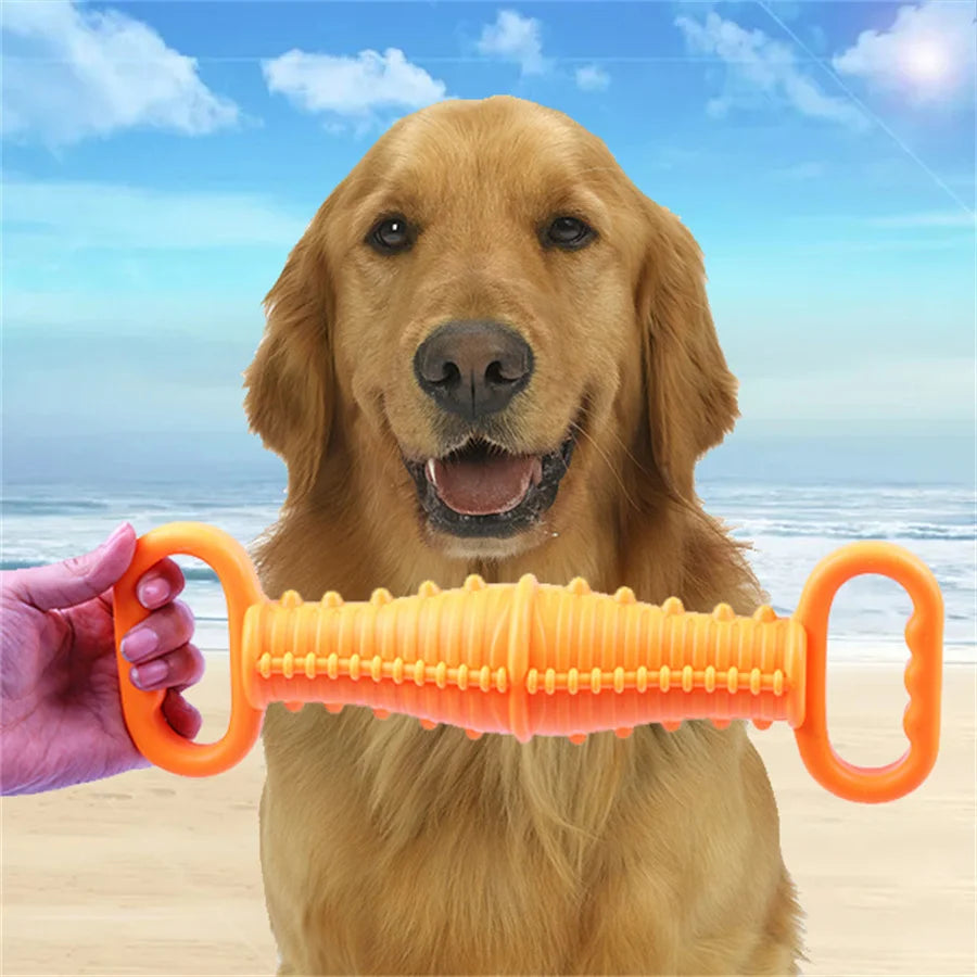 TPR Double Handle Pull Ring Dog Chew & Training Toy Dog Chew Toy Babs