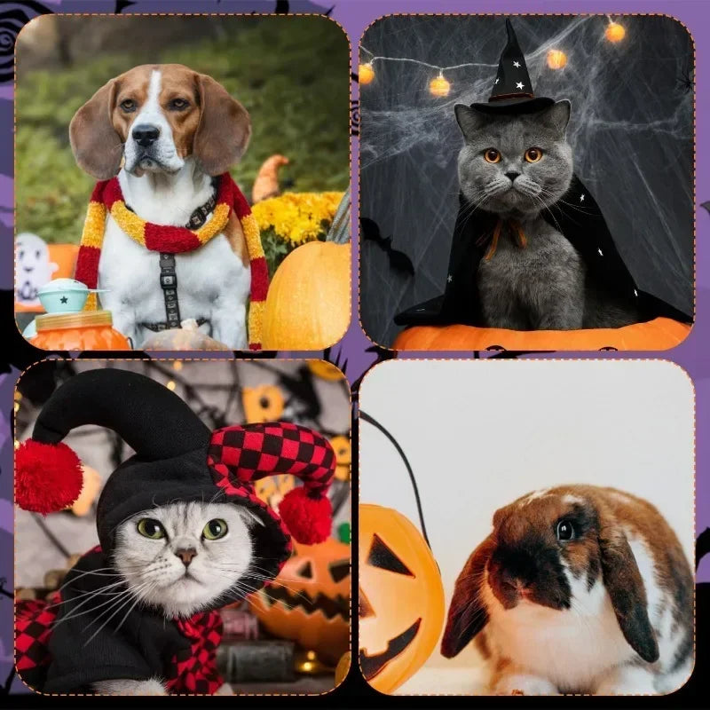 Pet Bat Wings Halloween Costume for Cats & Dogs | Adjustable Pet Halloween Costume Babs