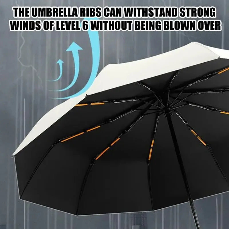 10-Rib Auto Folding Umbrella – UPF 50+, Windproof, Compact Compact Folding Umbrella Babs