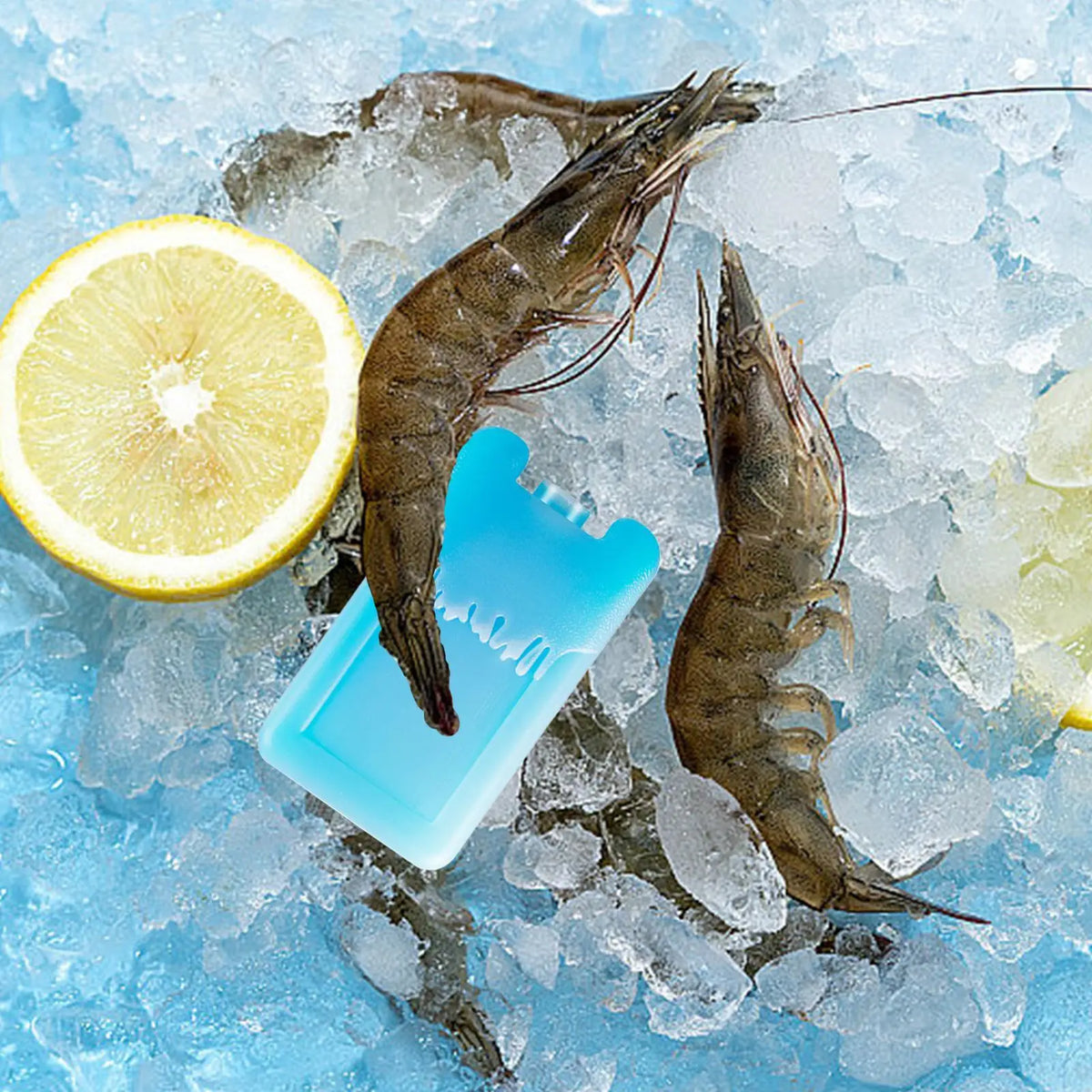 Reusable Ice Freezer Packs – Cooler Blocks for Picnic & Travel Reusable Ice Pack Babs