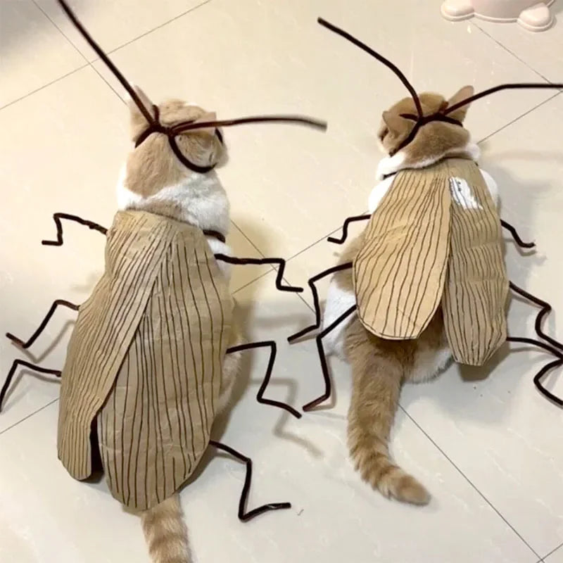 Funny DIY Cat Costume Kit – Cockroach & Spicy Pepper Outfit DIY Cat Costume Kit Babs