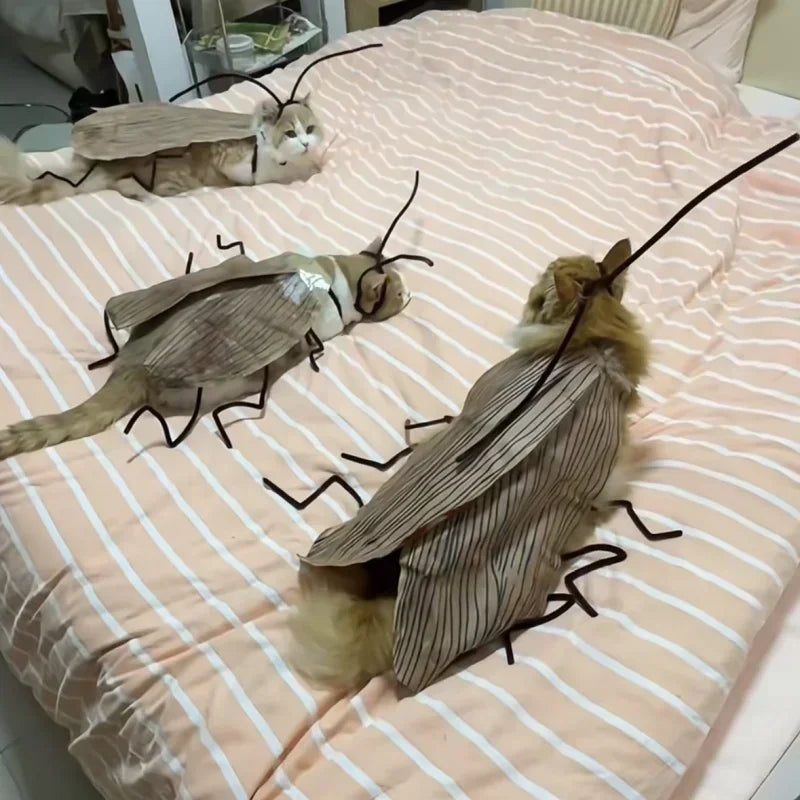 Funny DIY Cat Costume Kit – Cockroach & Spicy Pepper Outfit DIY Cat Costume Kit Babs