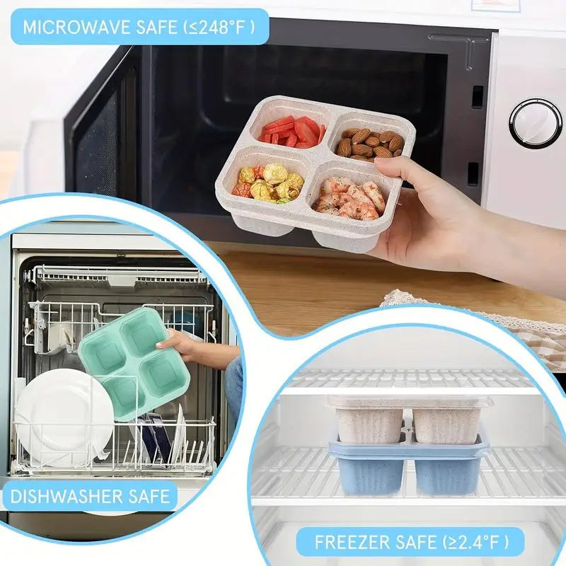 4-Compartment Bento Snack Box – Reusable Divided Lunch Container Bento Lunch Box Babs
