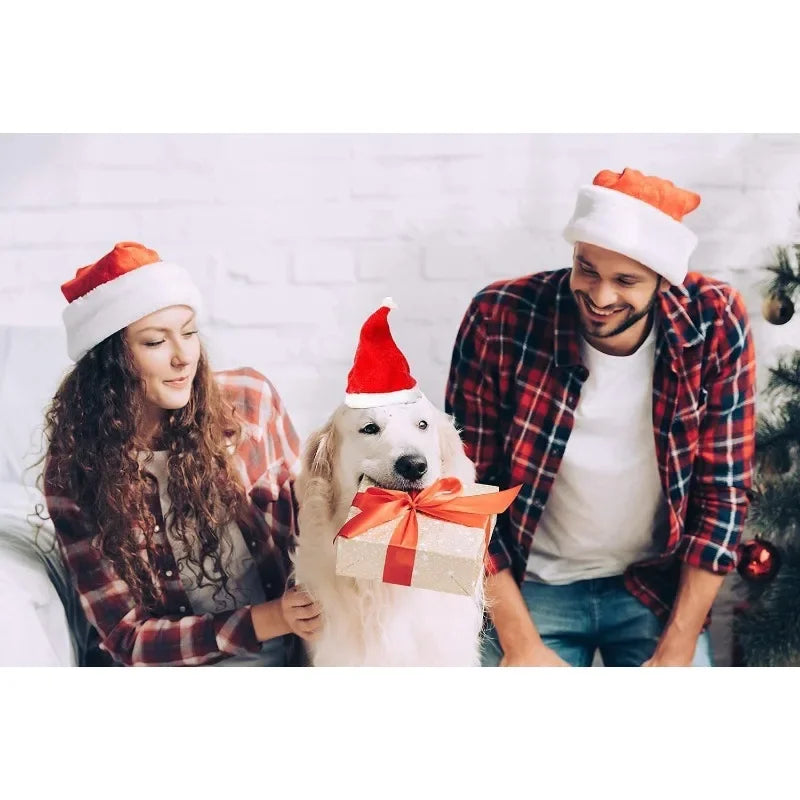Festive Pet Santa Hat – Plush Christmas Cap for Dogs & Cats Pet Holiday Costume Babs