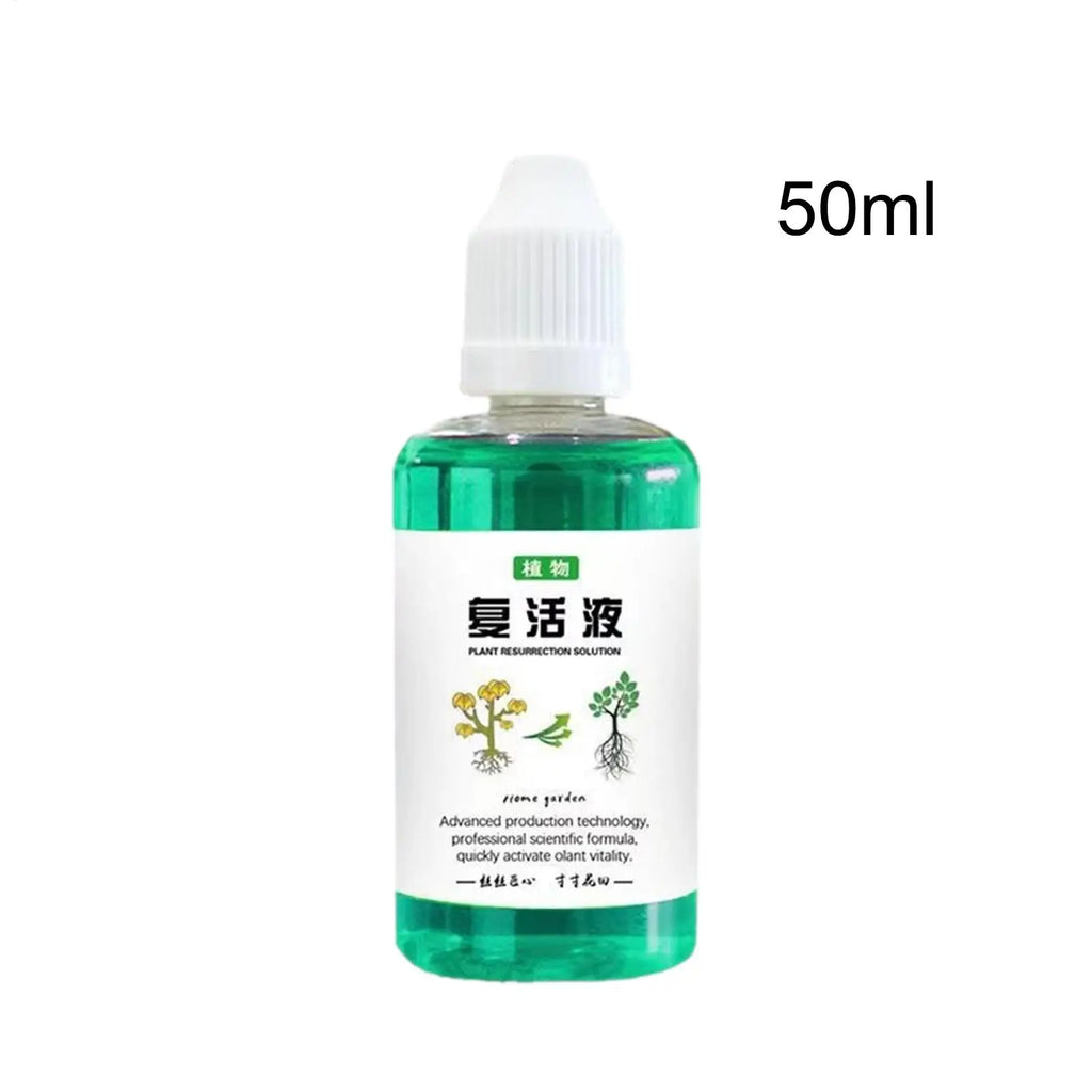 50ml Liquid Plant Food Concentrate – Root Booster & Growth Nutrient Liquid Plant Fertilizer Babs