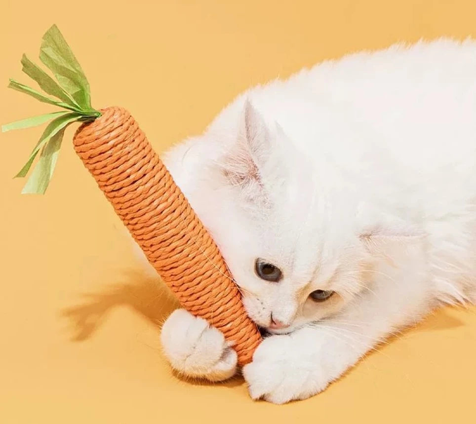 Carrot Cat Teaser Toy – Sisal, Sound & Teeth Grinding Fun Cat Teaser Toy Babs