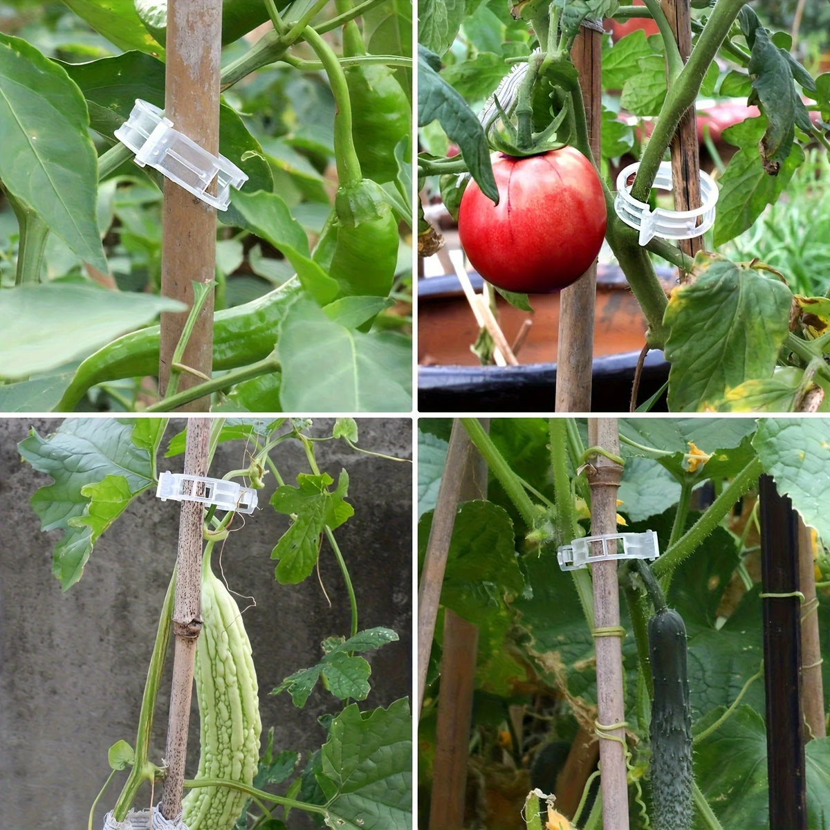 Plastic Plant Support Clips – Tomato & Vine Garden Clips Garden Plant Clips Babs