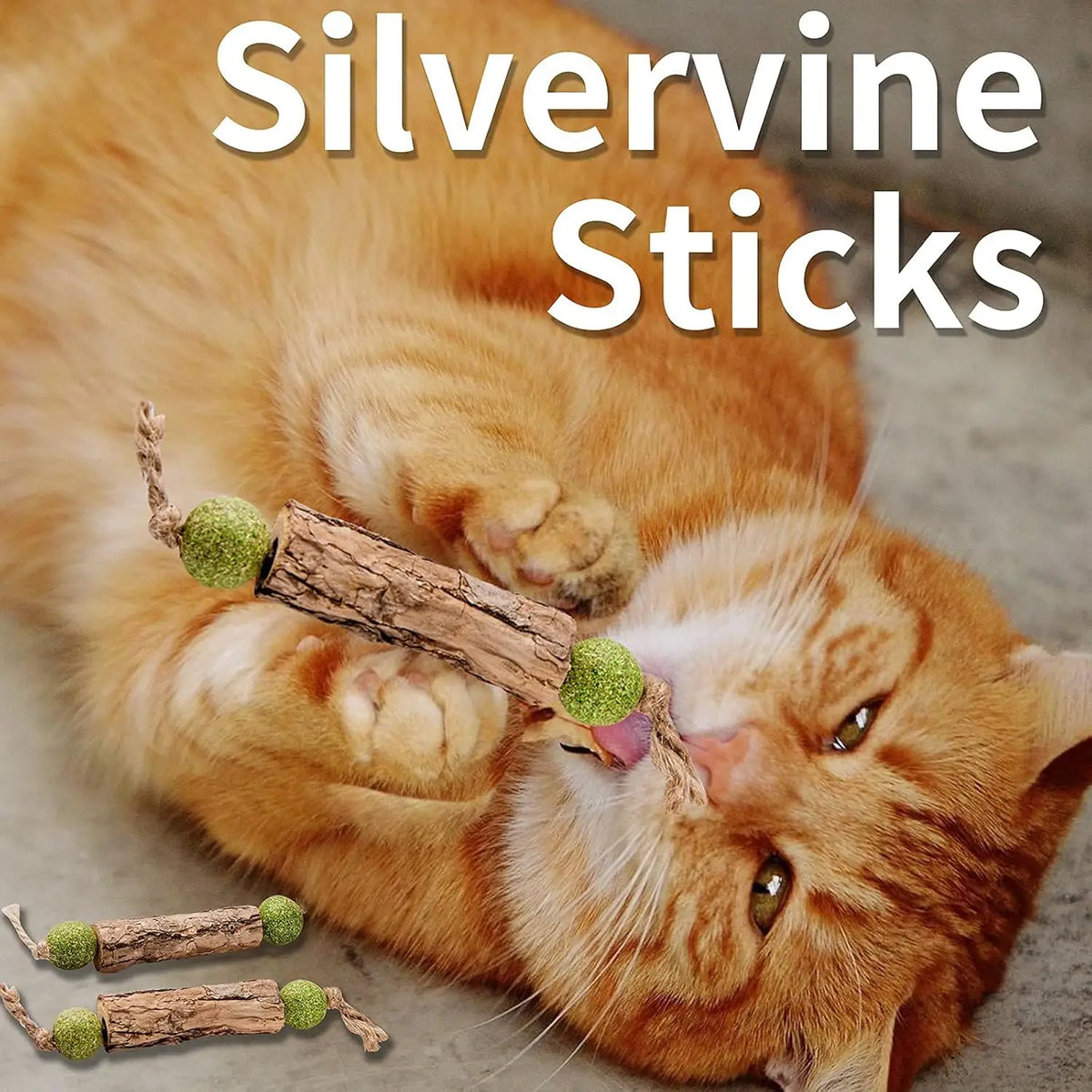 Natural Catnip & Silvervine Molar Chew Sticks for Cats Cat Chew Toy Babs