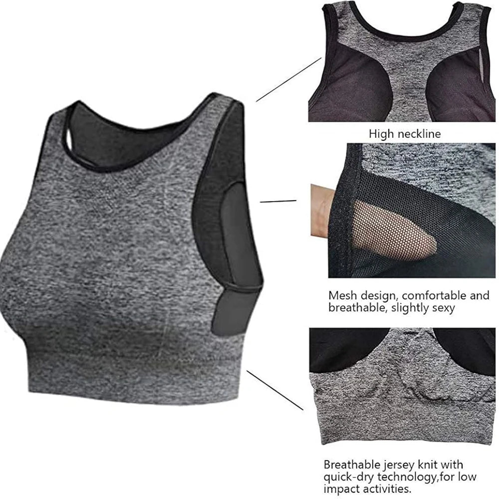 Women's Seamless Push Up Sports Bra – Yoga & Gym Bralette Women's Sports Bra Babs