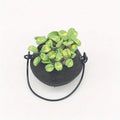 Miniature Dollhouse Hanging Flower Pot – Simulation Plant Ornament Miniature Ornament Babs 1pc