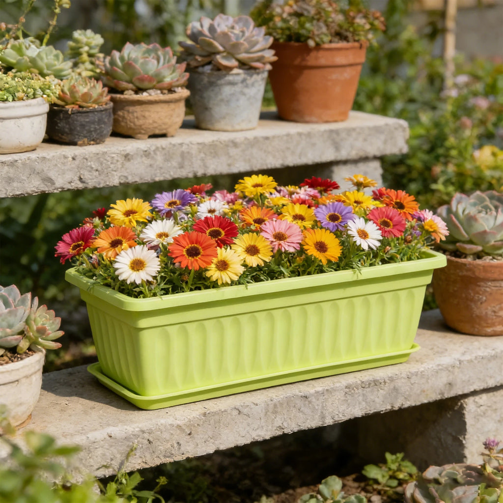 Rectangular Plastic Vegetable Planter Pot – Indoor & Balcony Vegetable Planter Pot Babs