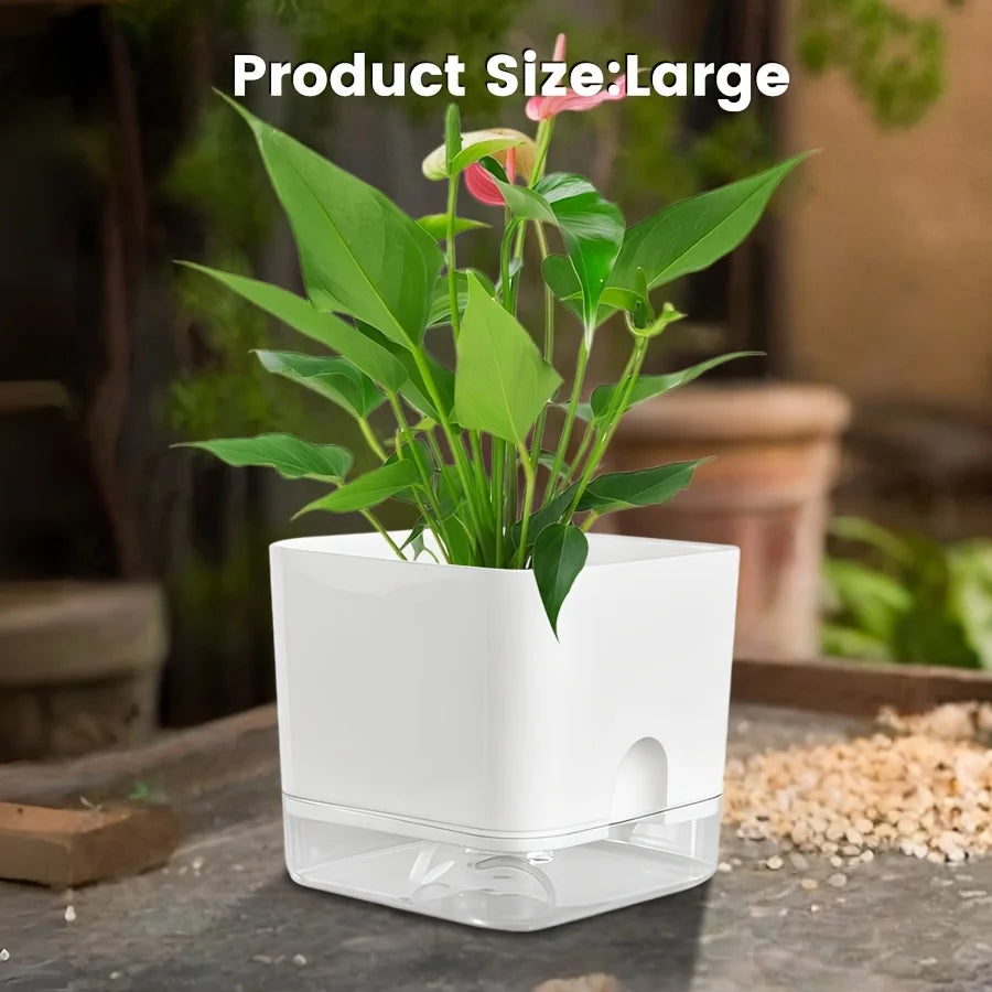 Clear Self-Watering Planter – Wicking Pot with Watering Bottle Self-Watering Planter Babs