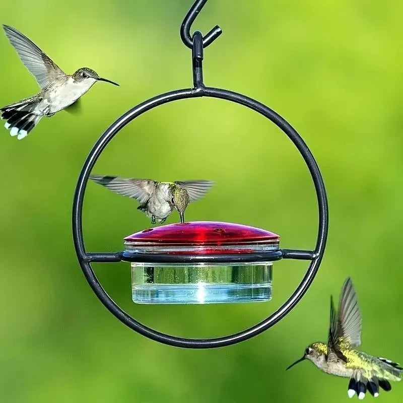 Hanging Hummingbird Feeder – Bee-Proof for Yard & Garden Hanging Bird Feeder Babs