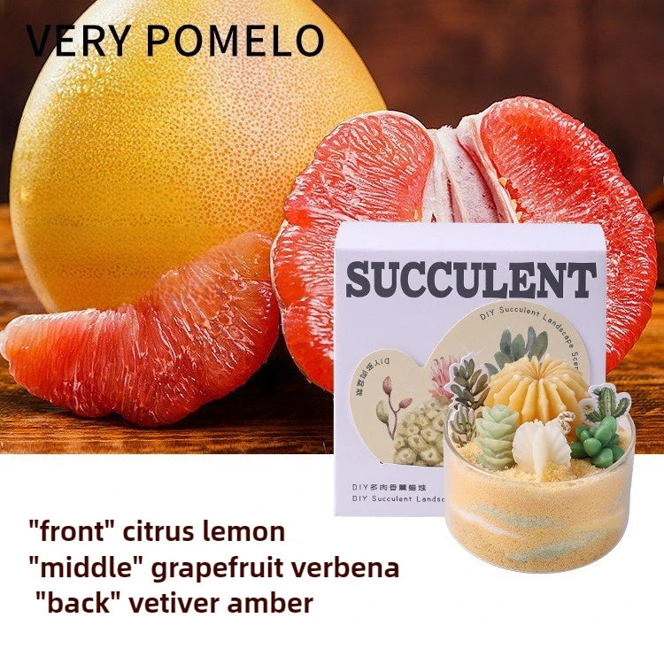 Soy Wax Aromatherapy Candle – Succulent Cactus Scented Décor Aromatherapy Candle Babs pomelo