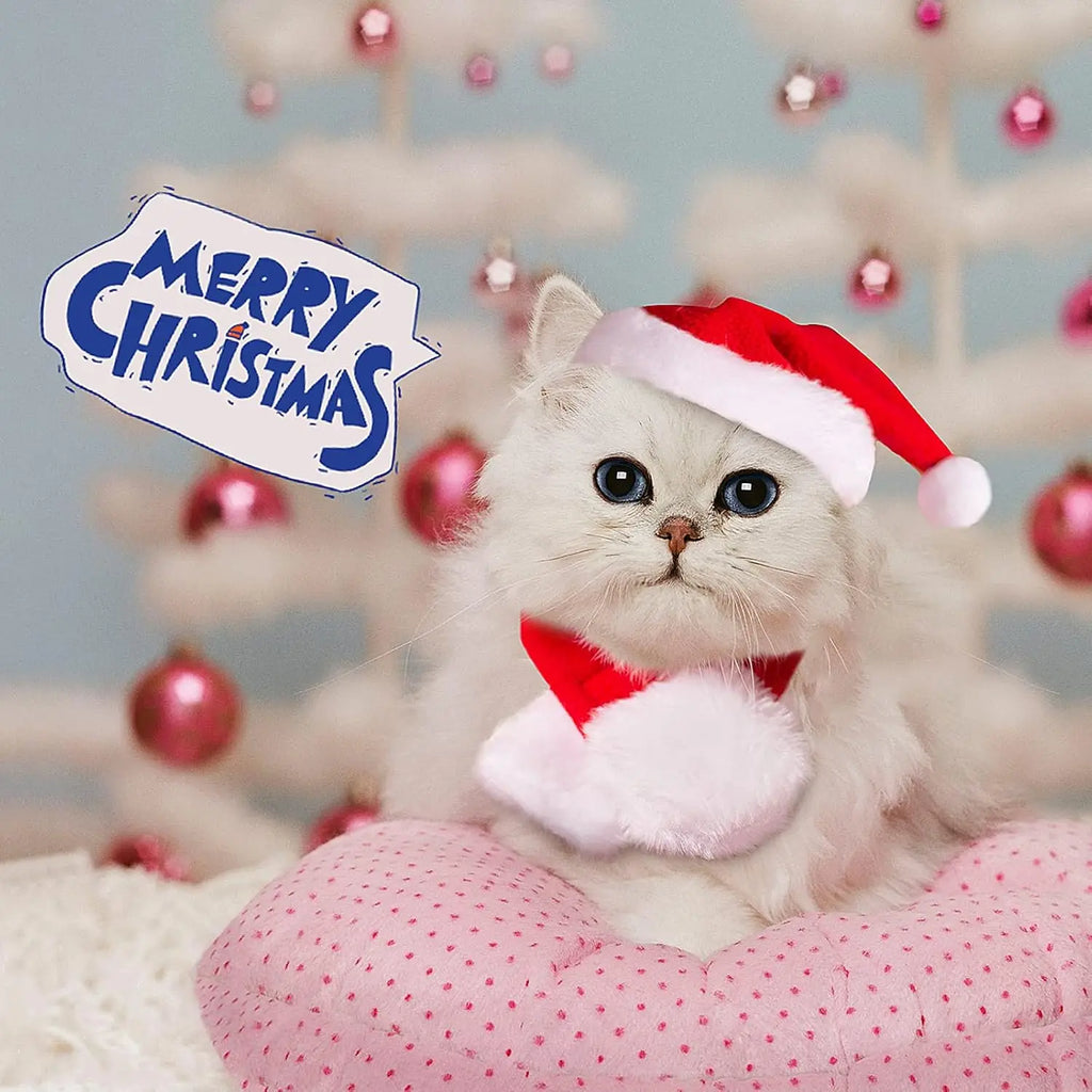 Christmas Santa Hat & Scarf Set for Cats & Small Dogs Pet Costume Set Babs