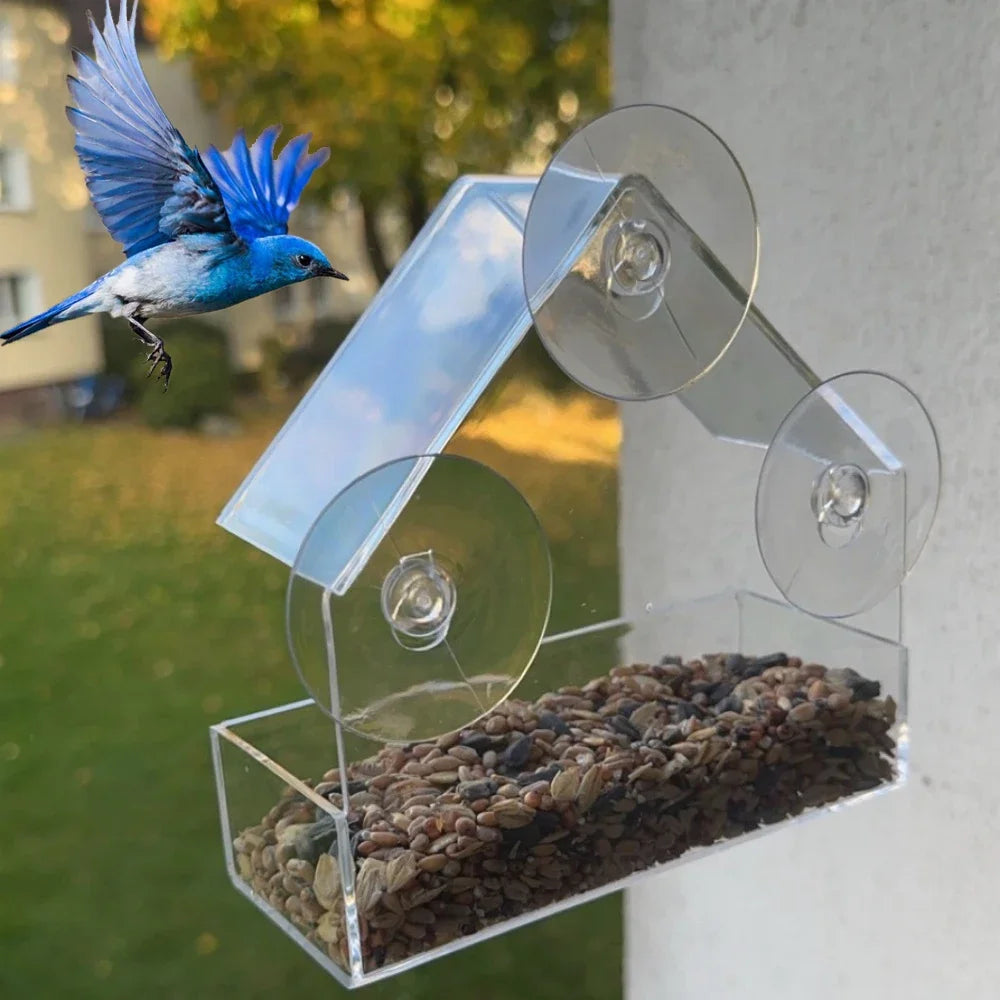 Window Bird Feeder – Clear Tray, Waterproof, Suction Cup Mount Window Bird Feeder Babs