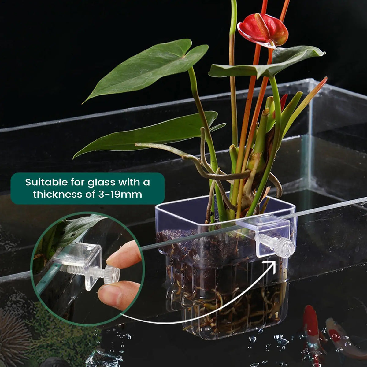 Aquarium Plant Basket – Transparent Fish Tank Hanging Planter Aquarium Plant Holder Babs