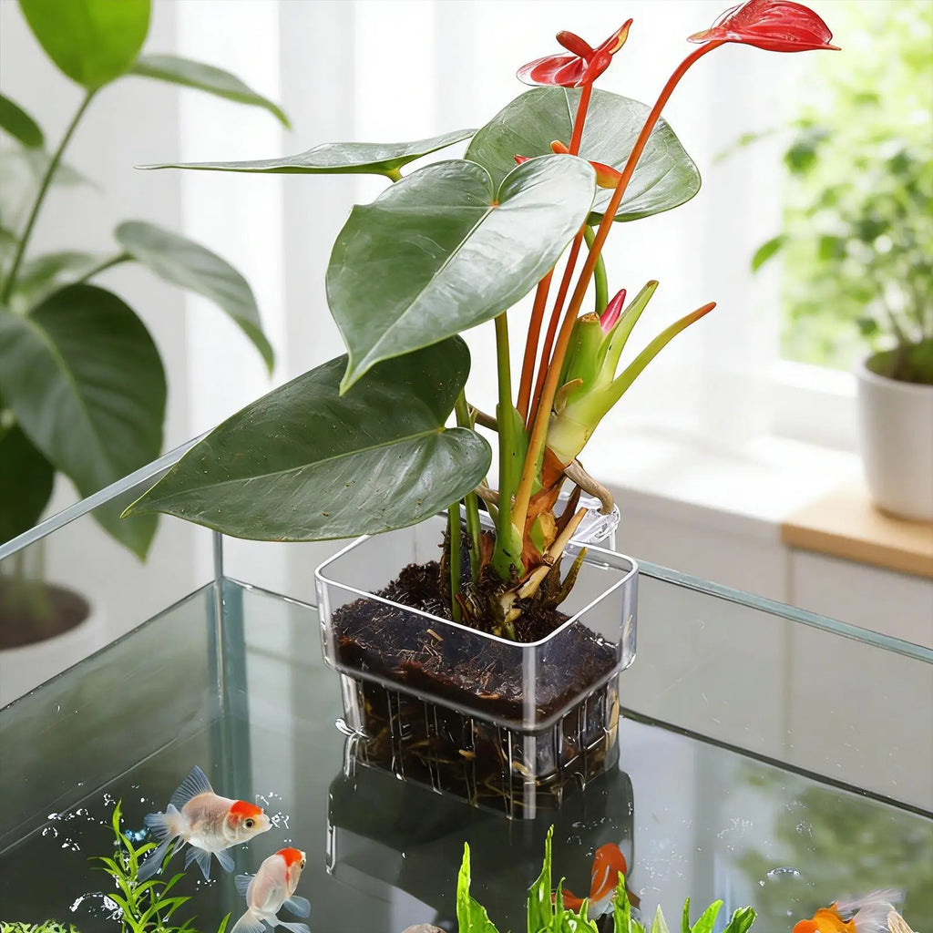 Aquarium Plant Basket – Transparent Fish Tank Hanging Planter Aquarium Plant Holder Babs