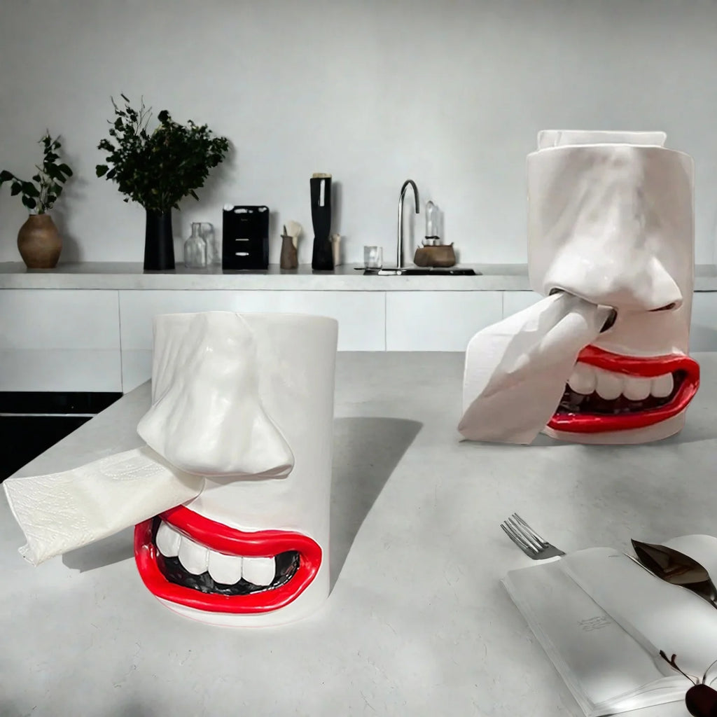 Funny Face Tissue Box Holder – Novelty Nose & Mouth Design Novelty Tissue Holder Babs