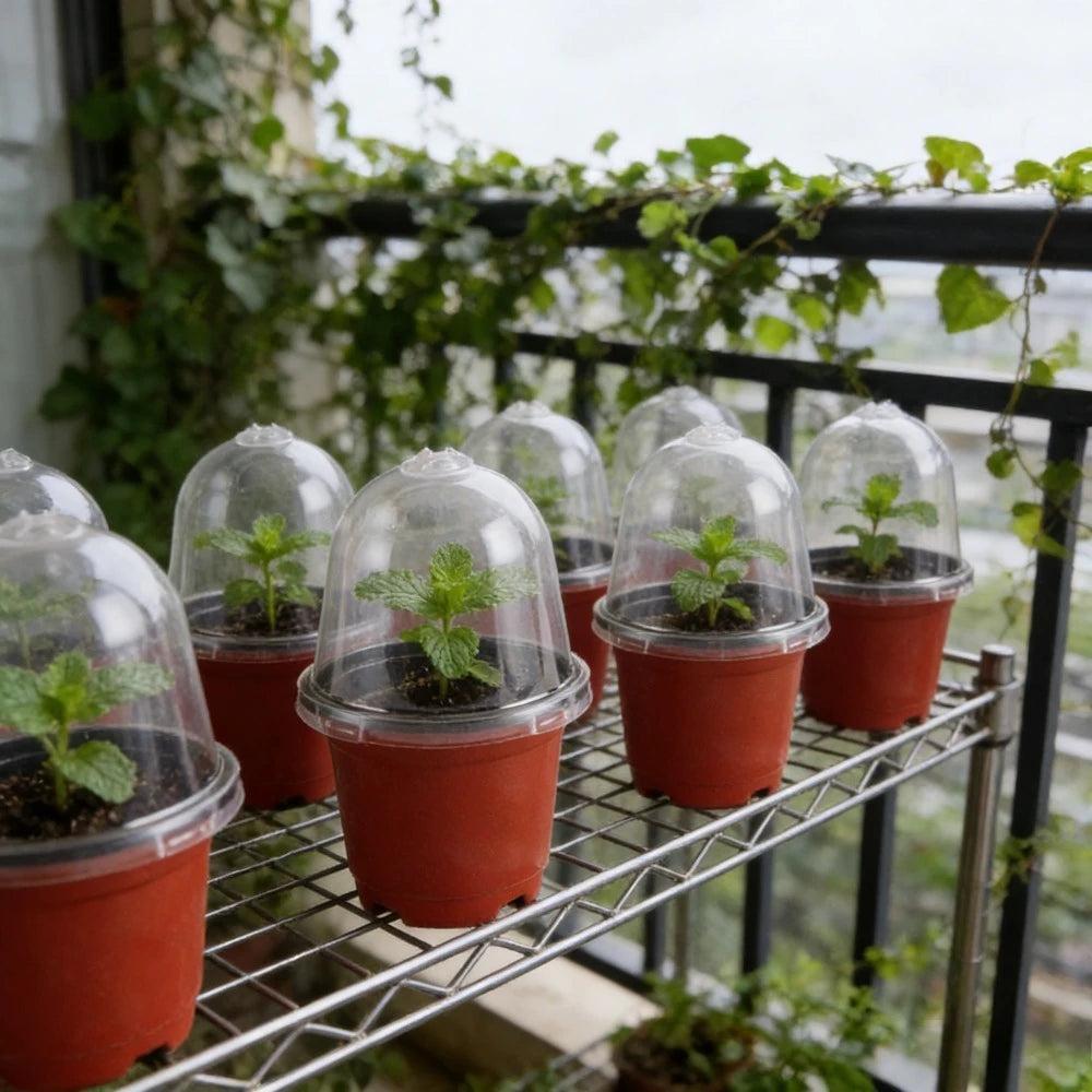 18-Pc Plant Nursery Pots with Humidity Dome Lids – Clear PET Nursery Pot Set Babs