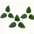 50/100 PCS Silk Artificial Rose Leaves – DIY Wedding & Home Decor Artificial Silk Leaves Babs Olive 100 PCS