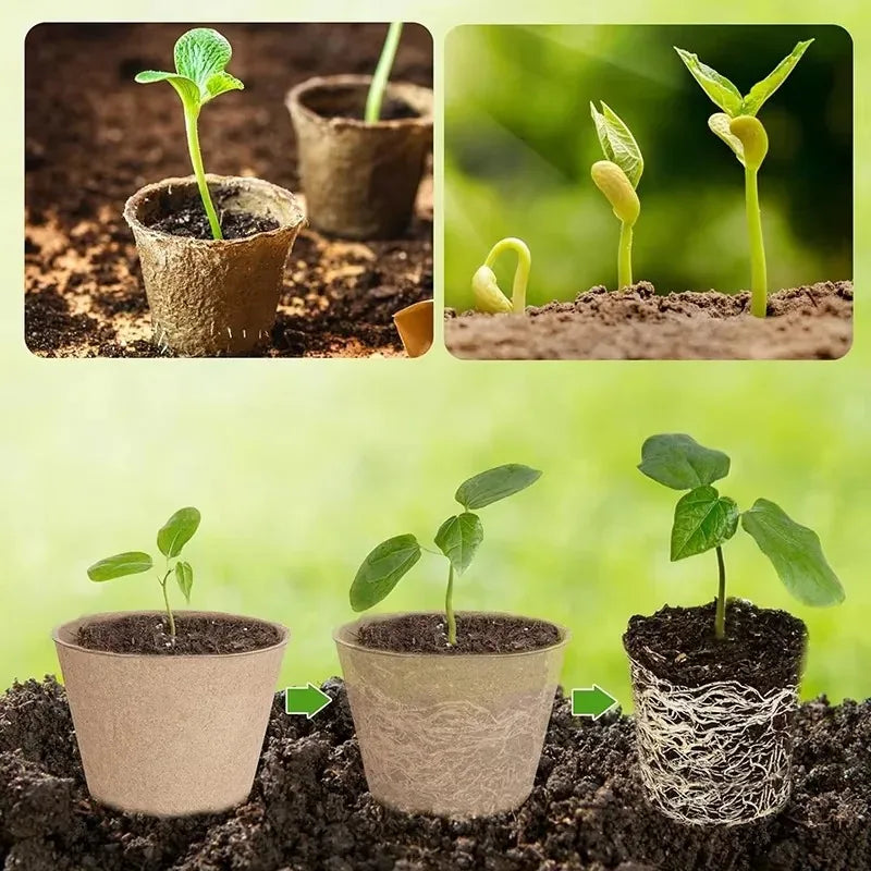 Biodegradable Peat Seed Starter Pots with Drainage | 20/40 Pack Seed Starter Pots Babs