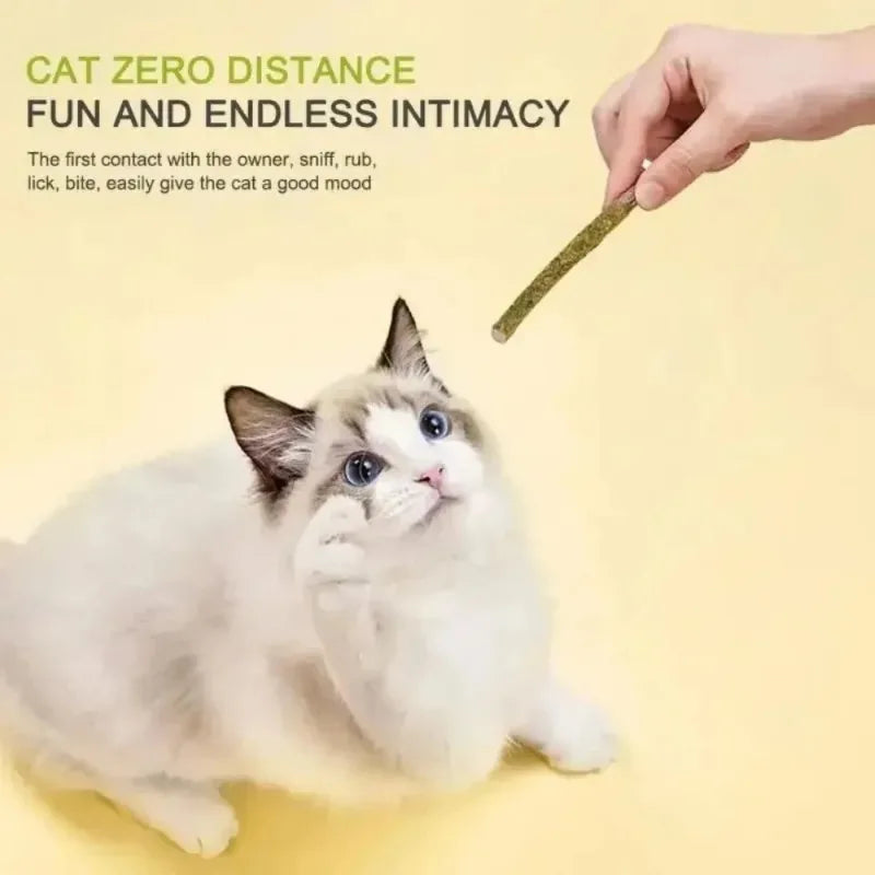 6-Pack Matatabi Silvervine Cat Chew Sticks – Teeth Cleaning Toy Cat Chew Toy Babs