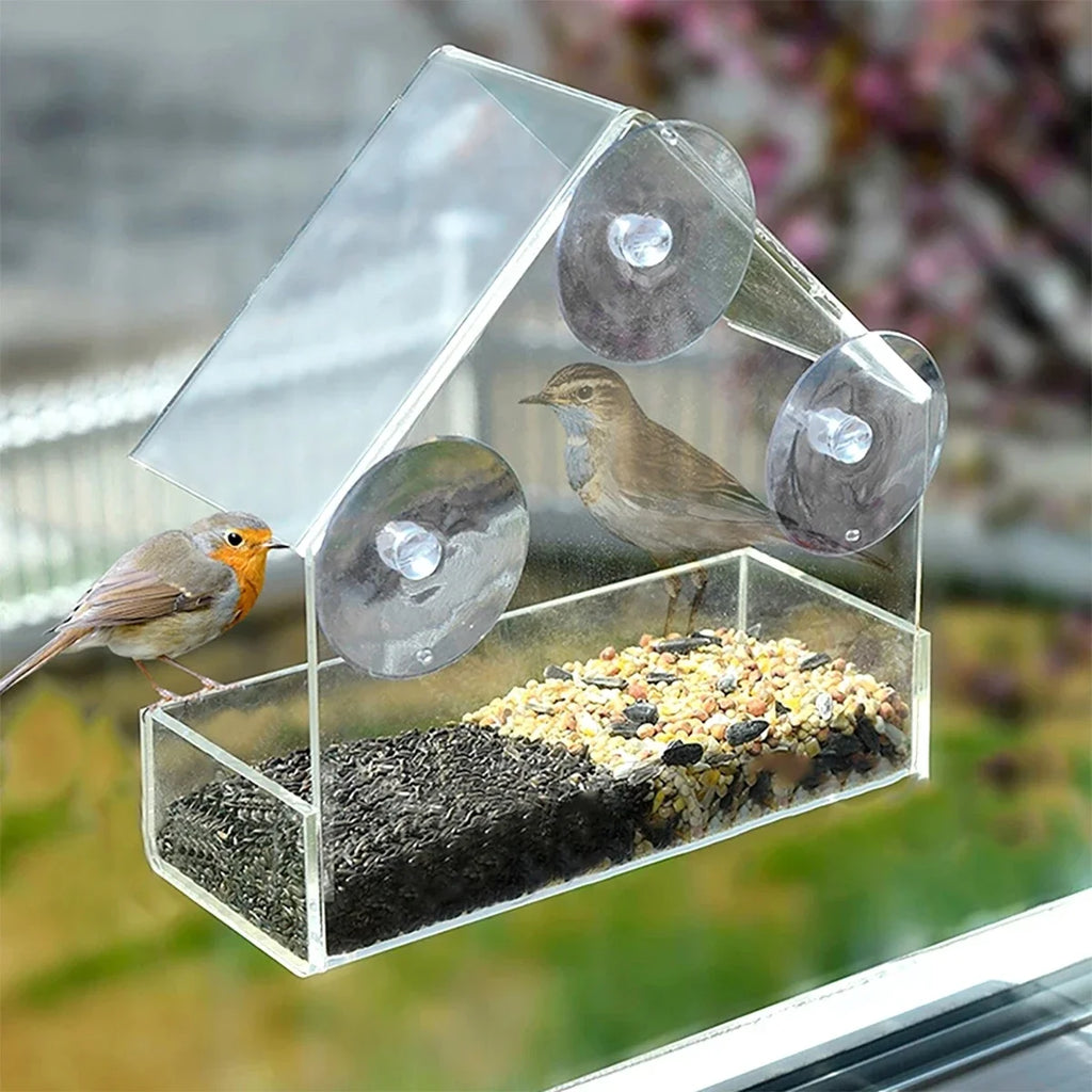 Transparent Window Wild Bird Feeder with Suction Cups Window Bird Feeder Babs