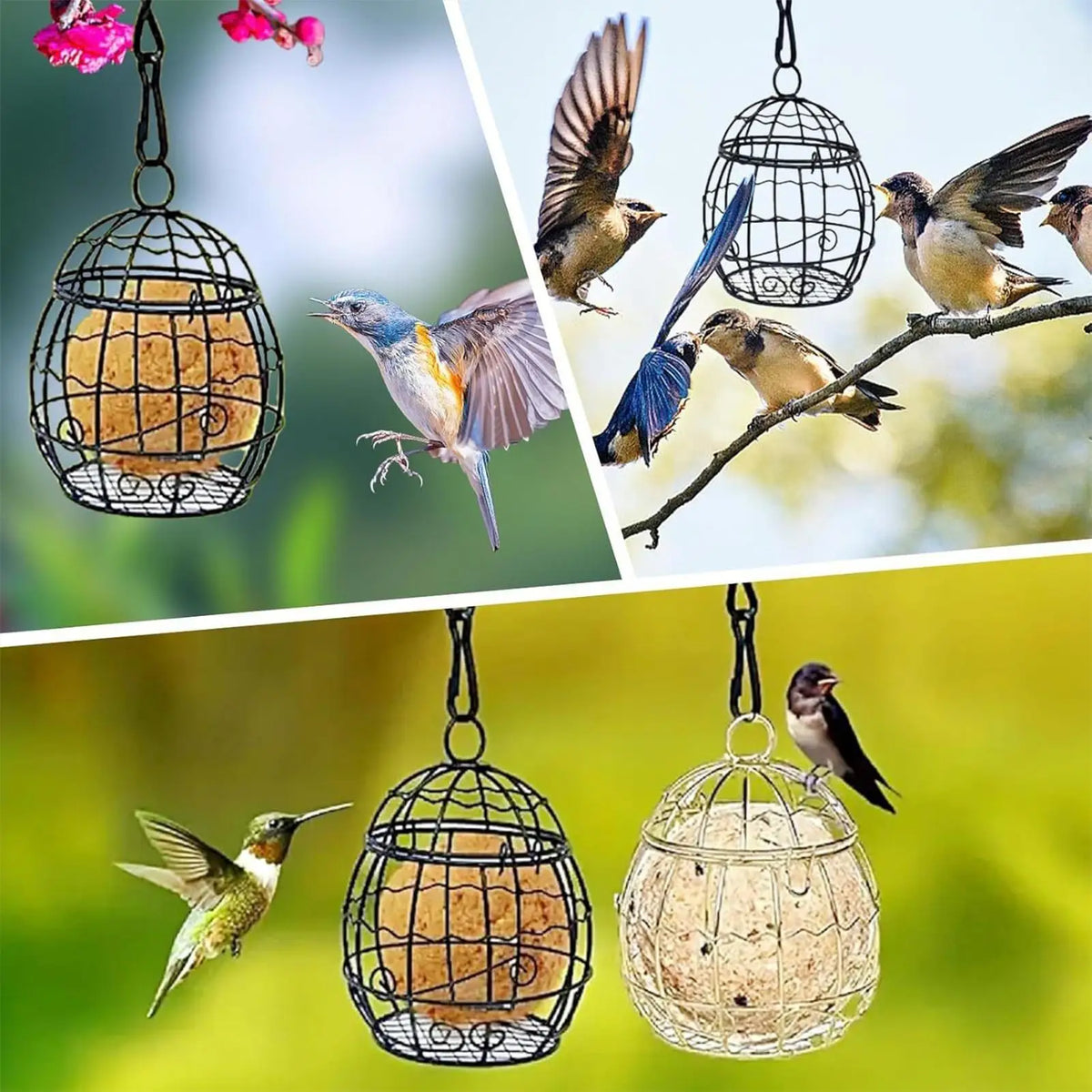 Hanging Metal Suet Ball Bird Feeder – Garden Wild Bird Feeder Suet Ball Bird Feeder Babs