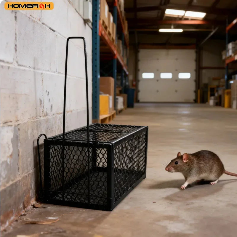 Humane Self-Locking Metal Mouse Trap – Reusable & Chemical-Free Humane Mouse Trap Babs