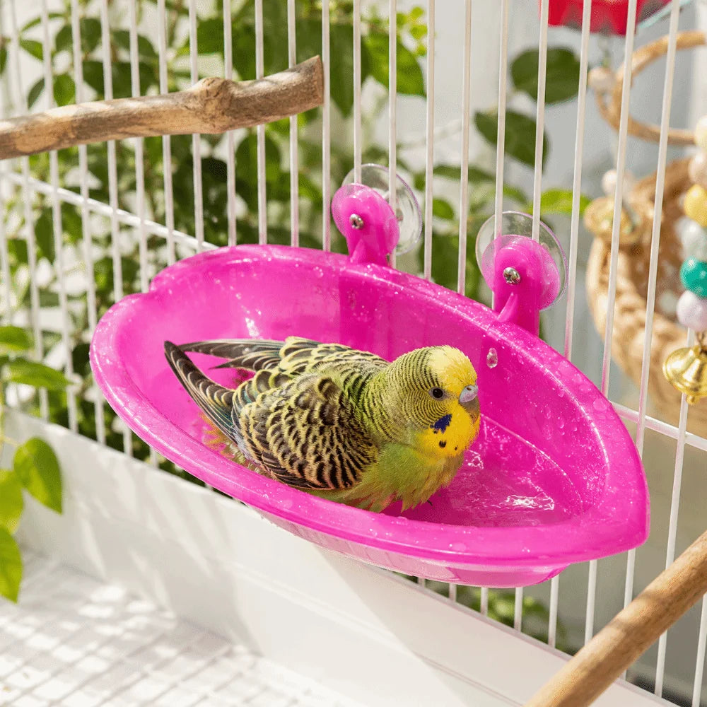 Bird Bath Bowl – 3-in-1 Feeder, Drinker & Shower for Cages Bird Bath Bowl Babs