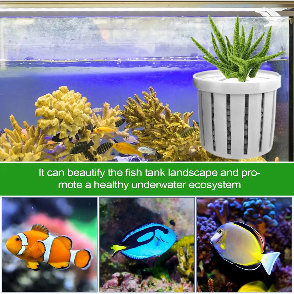 4-Pack Aquarium Net Cup Planter Baskets for Fish Tanks Aquarium Planter Basket Babs