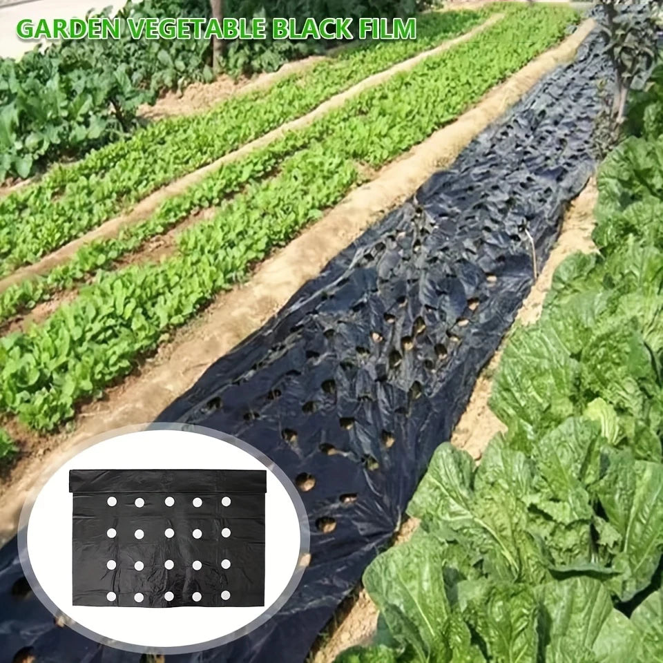 Garden Weed Control Barrier Film with Planting Holes | PE Mulch Garden Mulch Film Babs
