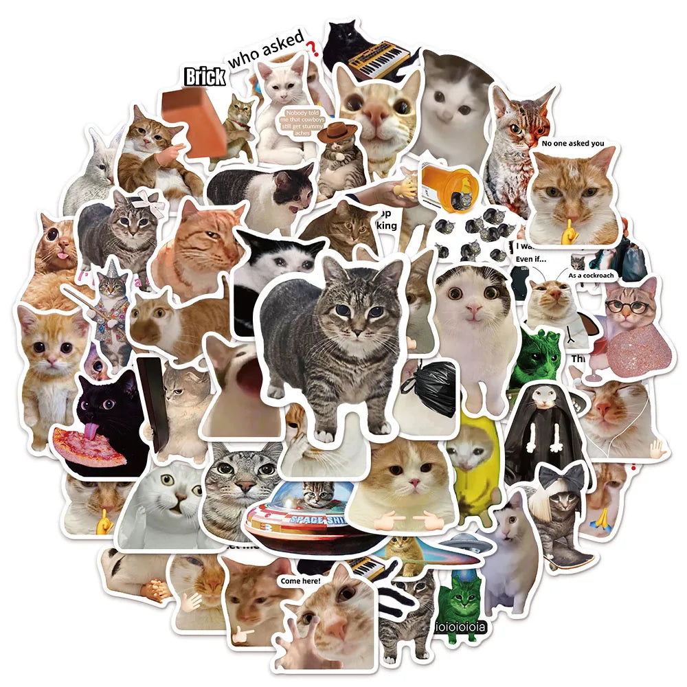 50/100PCS Cat Meme Stickers for Water Bottles & Skateboards DIY Sticker Pack Babs