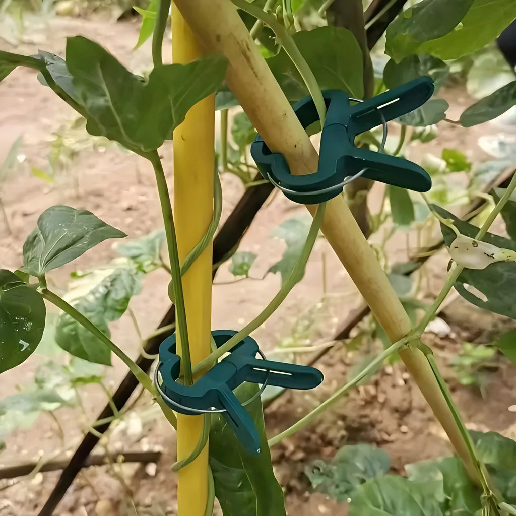 Plant Support Clips for Tomatoes & Climbing Vines | Garden Garden Plant Clips Babs