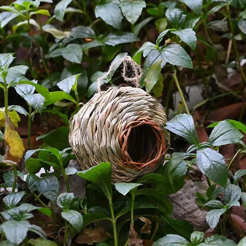 2pcs Round Straw Bird Nest – Parrot Toy & Garden Ornament Bird Nest Toy Babs