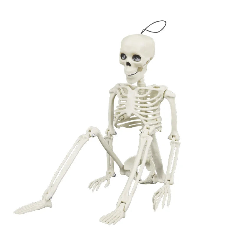 40cm Posable Halloween Skeleton Skull Horror Prop & Party Decor Halloween Skeleton Prop Babs