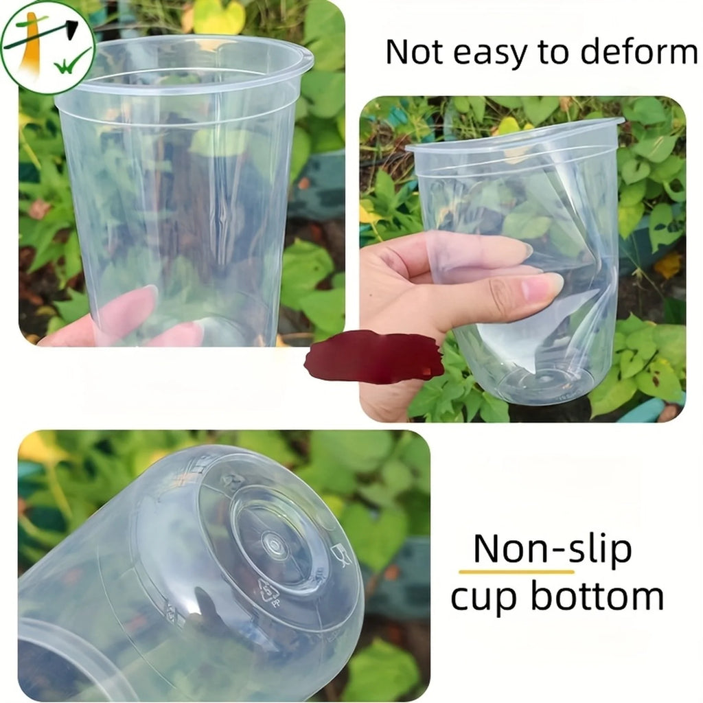 Clear Hydroponic Seed Starter Cup | Transparent Germination Pot Hydroponic Seed Cup Babs