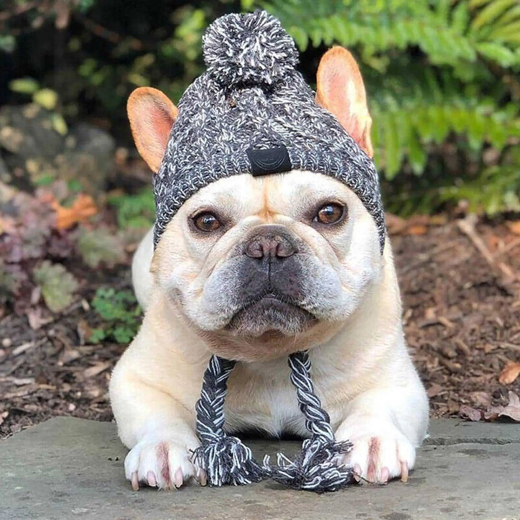 Winter Windproof Knit Dog Hat – French Bulldog & Chihuahua Dog Winter Hat Babs