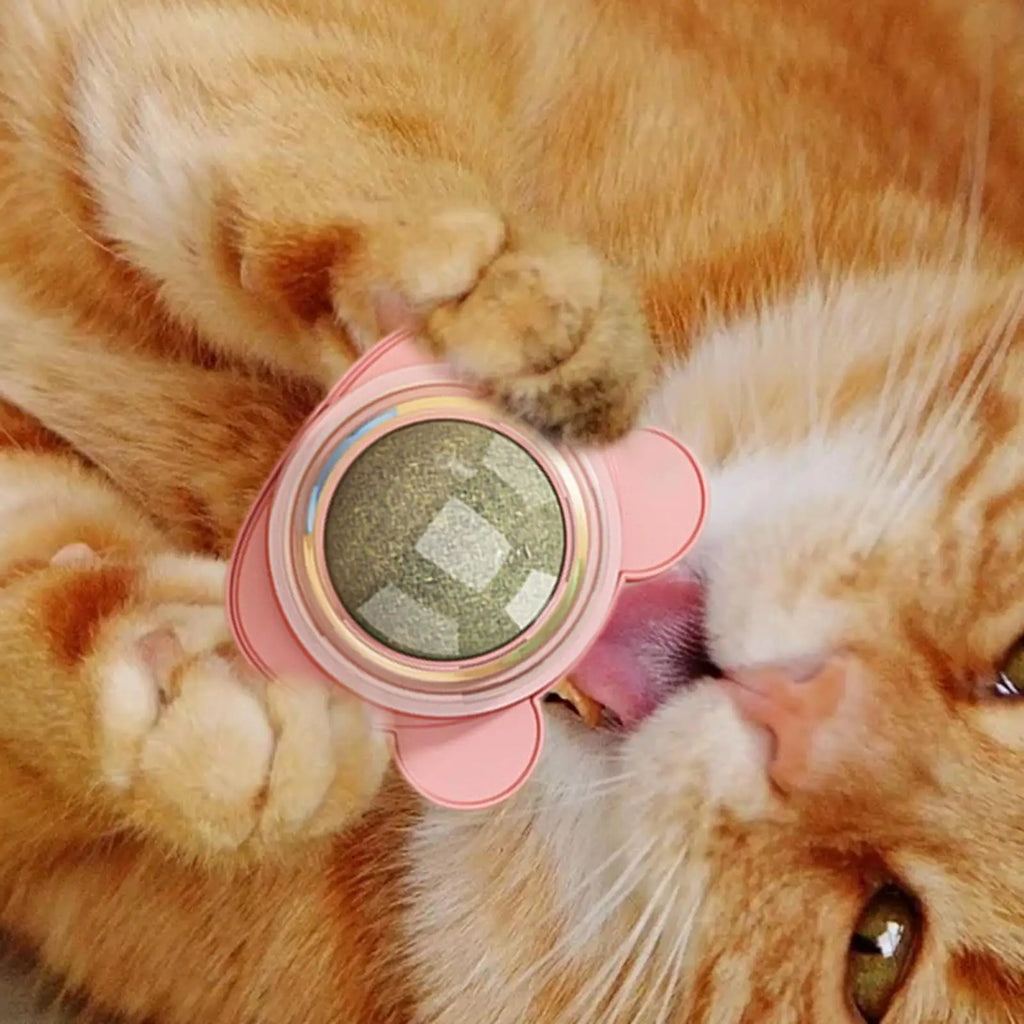 Catnip Licking Ball Toy for Cats – Natural Cat Grass Treat Catnip Cat Toy Babs