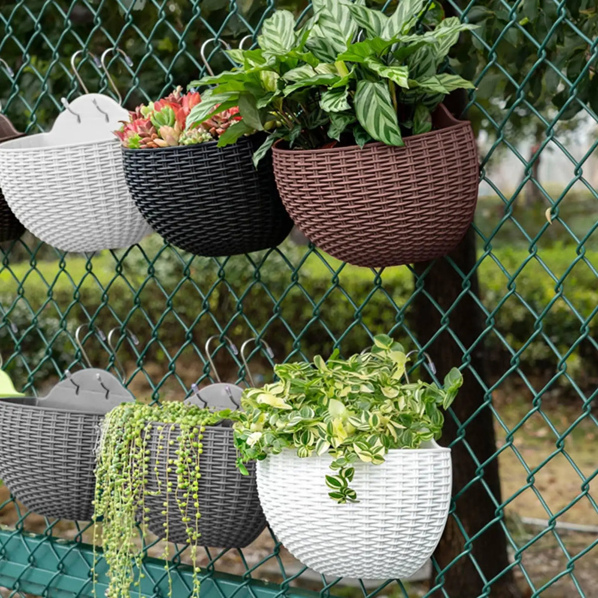 Wall Mounted Rattan Semicircle Hanging Planter Basket Wall Hanging Planter Babs