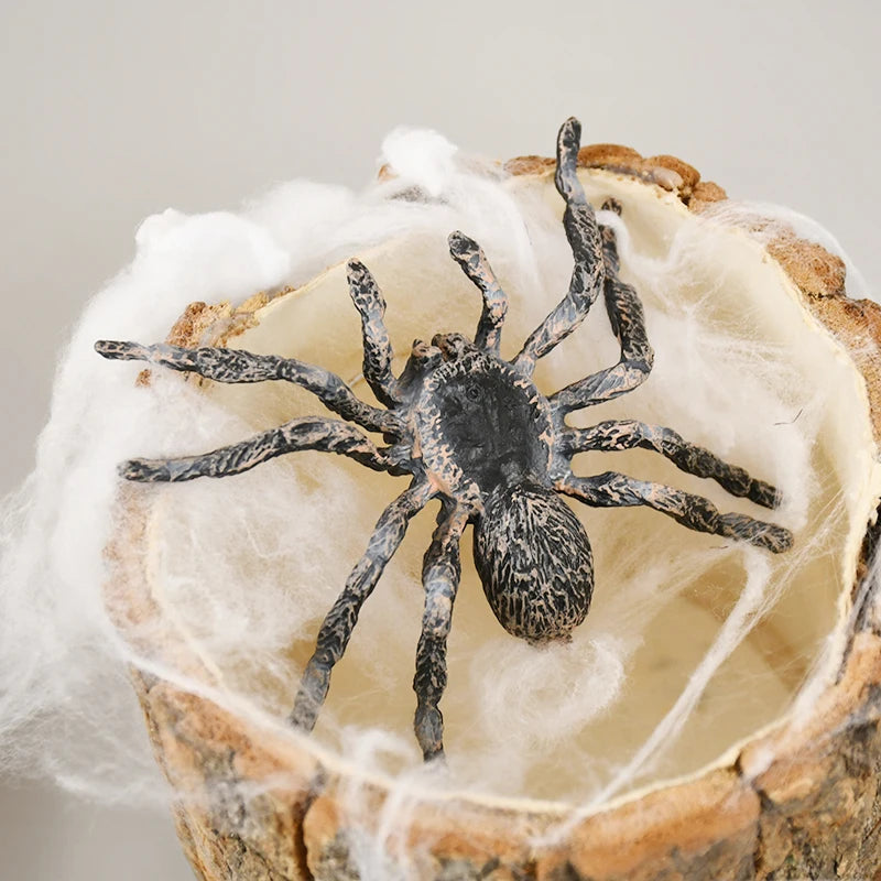 Realistic Fake Spider Prank Toys – Halloween Décor & Kids Gift Prank Novelty Toy Babs