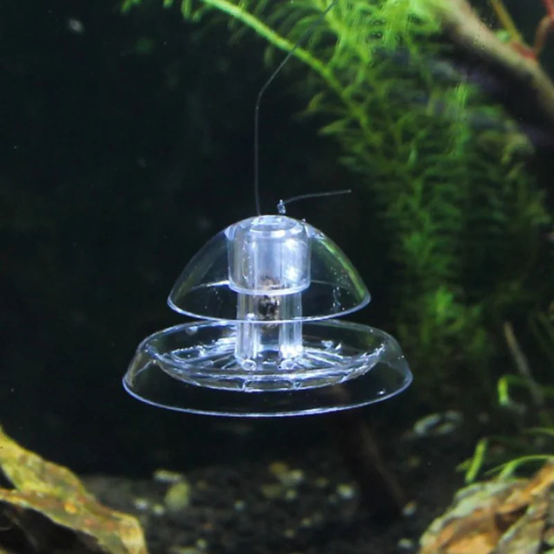 Aquarium Snail Trap Catcher – Leech & Planaria Pest Box Aquarium Pest Trap Babs