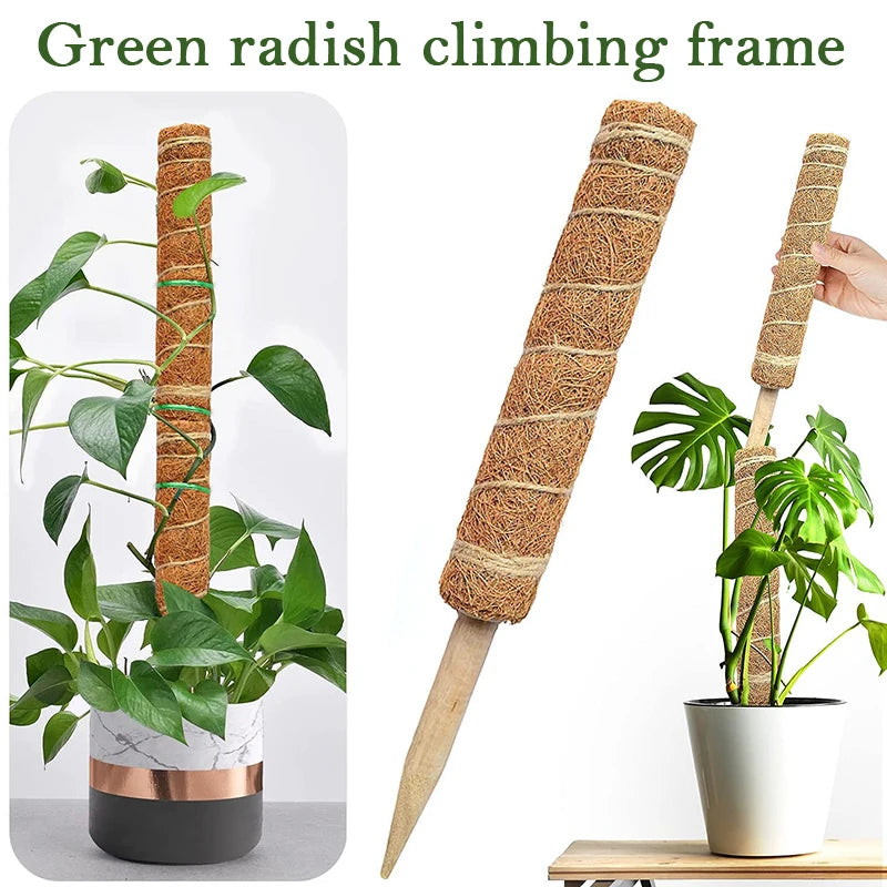 Coir Totem Pole Plant Support – 30/40/50cm Coconut Fiber Plant Support Stake Babs