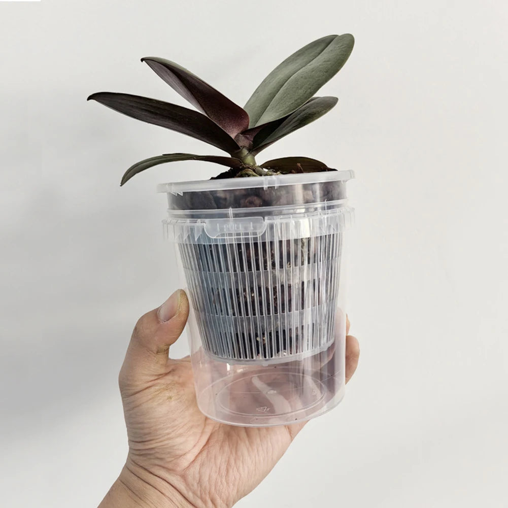 Self-Watering Orchid Pot | Transparent Plastic Planter with Holes Self-Watering Planter Babs