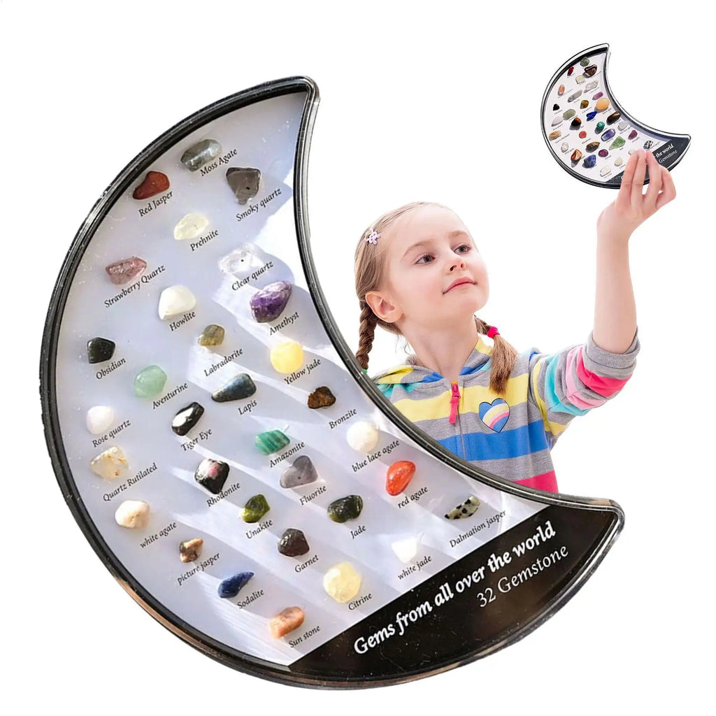 32-Piece Crystal Rock & Mineral Specimen Collection Display Box Crystal Specimen Set Babs