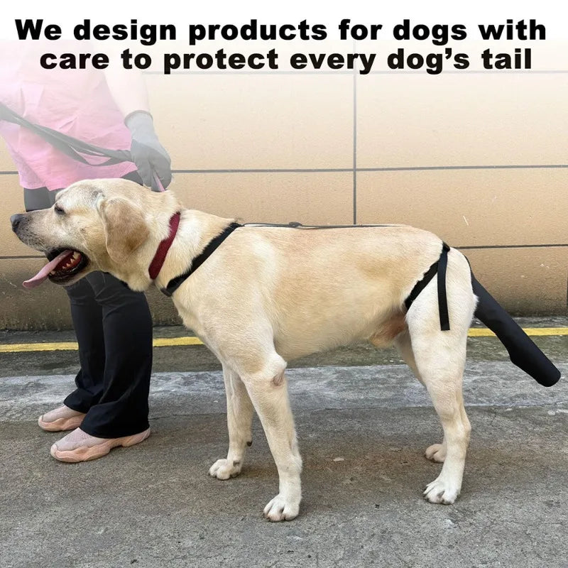 Dog Tail Protector – Adjustable Oxford Cloth Guard Cover Dog Tail Guard Babs